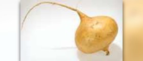 Jicama nutritional benefits