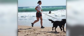 Jogging vs running