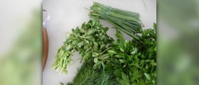 Ka Rey Herrera REH herbal