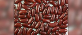 Kidney beans nutrition facts