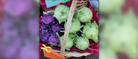 Kohlrabi nutrition facts