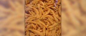 Krill oil supplements