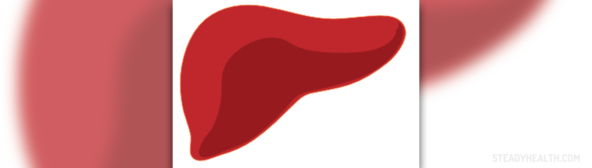 Lacerated liver facts | General center | SteadyHealth.com