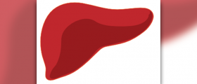 Lacerated liver facts