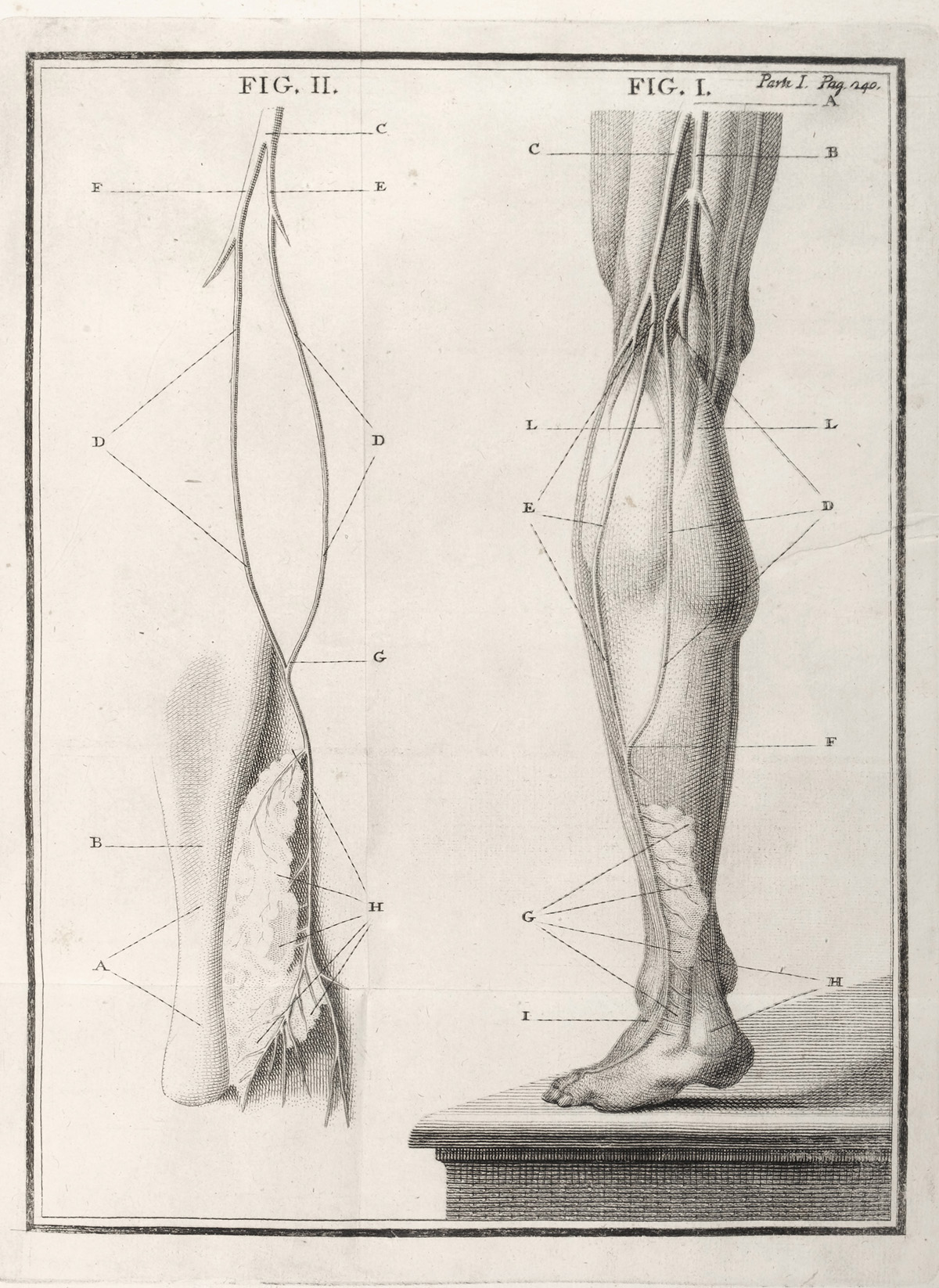 Symptoms of pinched nerve in leg | General center | SteadyHealth.com