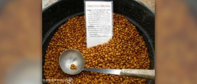 Legumes nutritional value