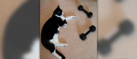 Lifting weights in the morning