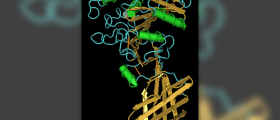 Lipase enzyme deficiency