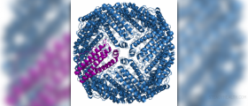 Low ferritin levels