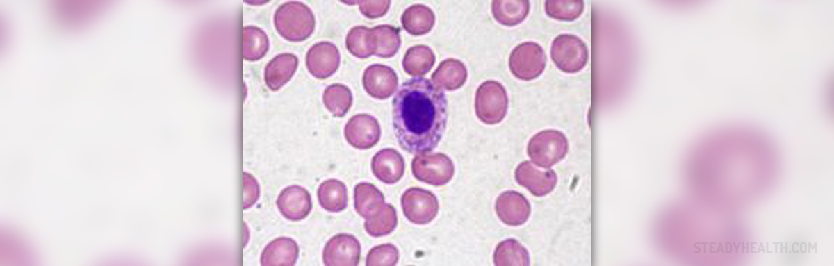 low-neutrophils-and-high-lymphocytes-lymphatic-endocrine-system