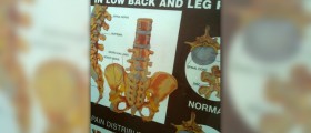 Lower back and hip pain