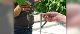 Lowering cholesterol with natural nutrients