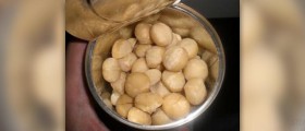 Macadamia nut oil benefits