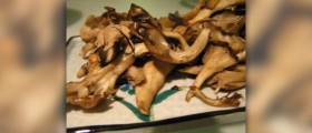 Maitake mushrooms health benefits