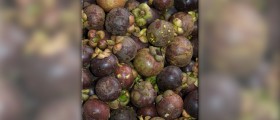 Mangosteen health benefits