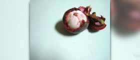 Mangosteen juice health benefits
