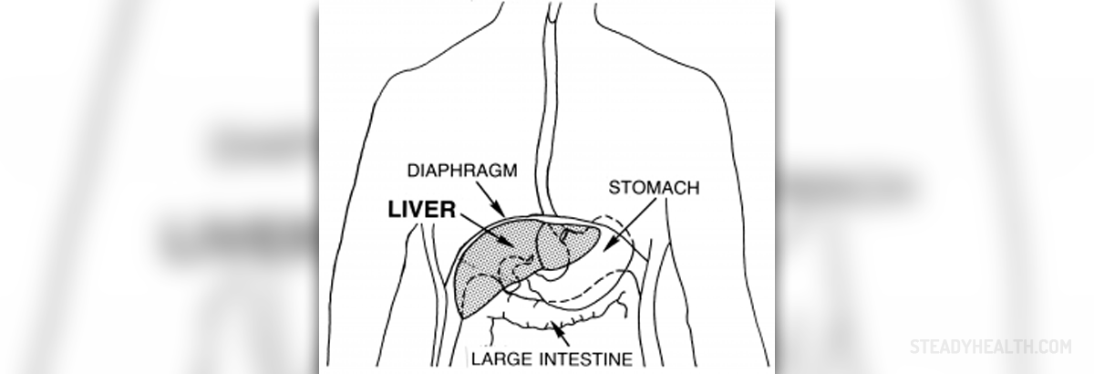 Metastatic liver cancer prognosis | General center | SteadyHealth.com