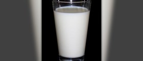 Milk thistle side effects