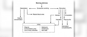 Prevention of morning sickness