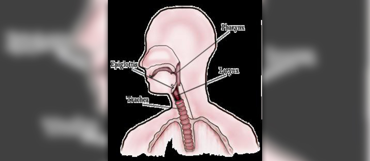 mucus-in-throat-ear-nose-throat-and-dental-problems-articles