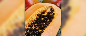 Natural digestive enzymes