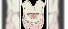 Natural therapy for underactive thyroid
