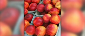 Nectarine health benefits