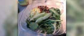 Negative calorie diet