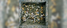 Nicotine addiction facts