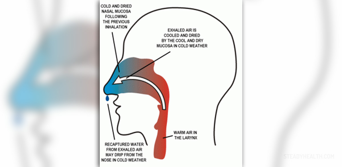 Chronic nasal drip Ear, Nose, Throat, and Dental