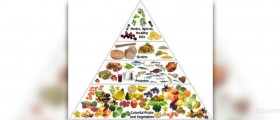 Nutrition guide for children: healthy eating for children
