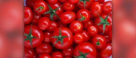 Nutritional facts about tomato