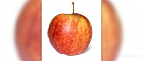 Nutritional value of apples