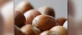 Nuts health benefits