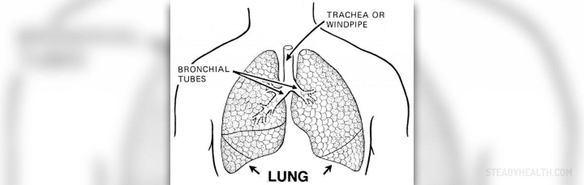 occupational-lung-disease-general-center-steadyhealth