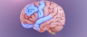 Homeopathic remedy for obsessive compulsive disorder