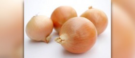 Onions nutritional value