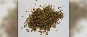 Oregano supplements : an effective natural treatment for fungus and other ailments
