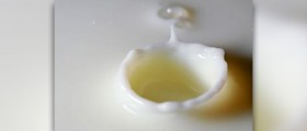 Organic milk vs regular milk