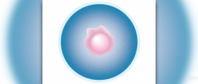 What is a blighted ovum?
