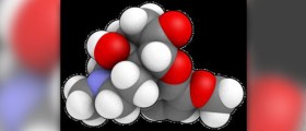 Oxycodone dosage facts