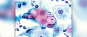 Pap smear test info