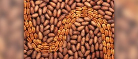 Pecans nutrition facts