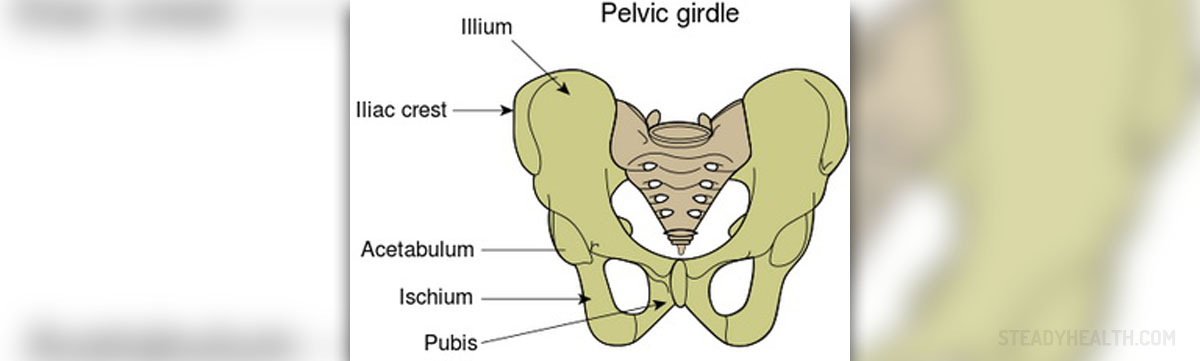 pelvic-girdle-pain-pregnancy-articles-family-health-center