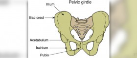 Pelvic Girdle Pain