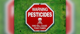 The Influence of Pesticides, Solvents and Other Chemicals on Sperm Health