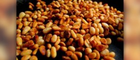 Pine nut oil benefits