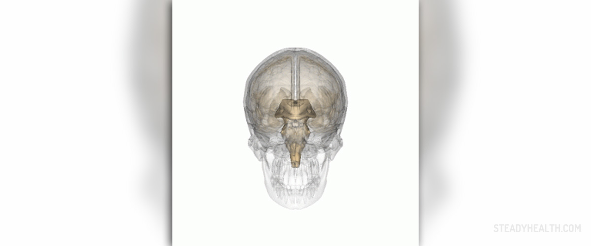Pineal gland cyst | Nervous System Disorders and Diseases articles