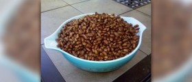 Pinto beans calories
