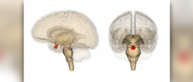 Pituitary gland disorders